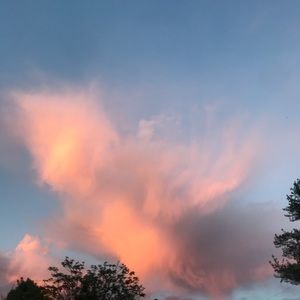 Meet your Posher, Cindy